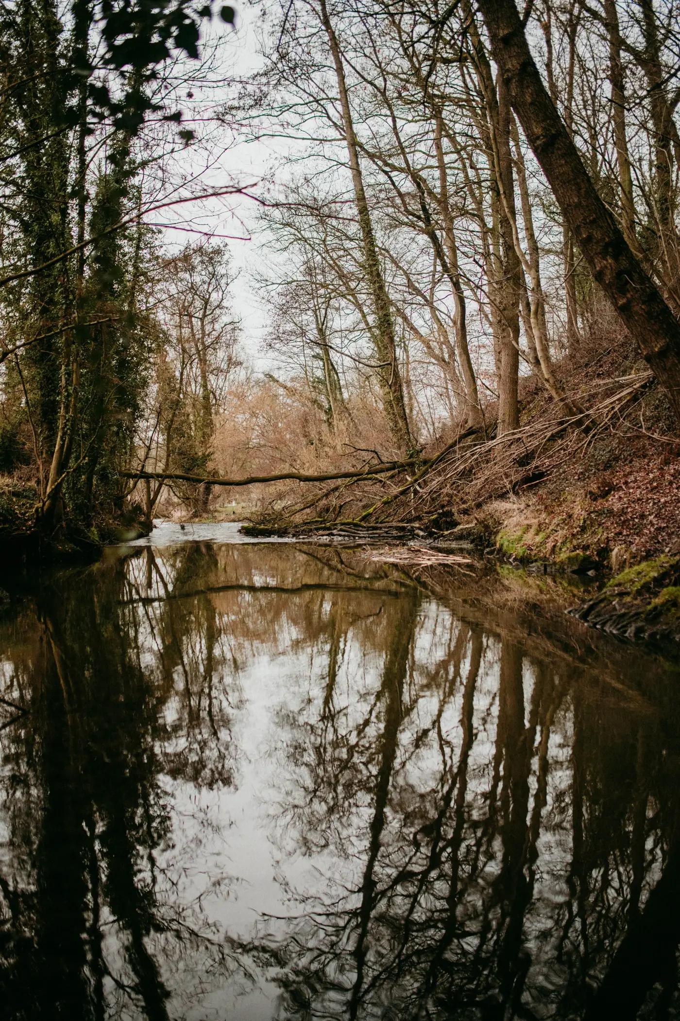 Cottage for 2 people in Dalhem Ô NaNo